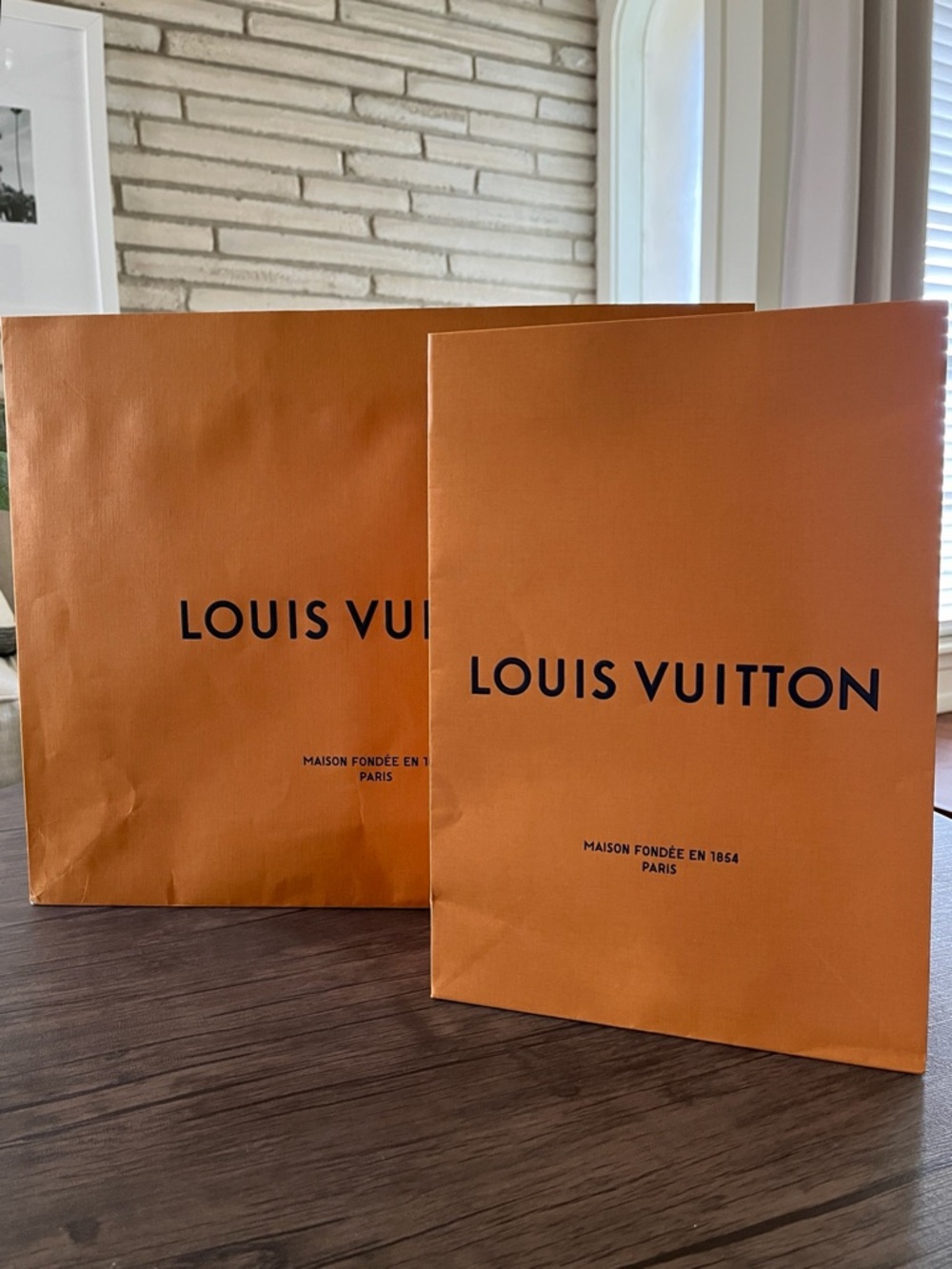 Louis Vuitton Shopping Bags Set of 2 Large Gift Bags Authentic